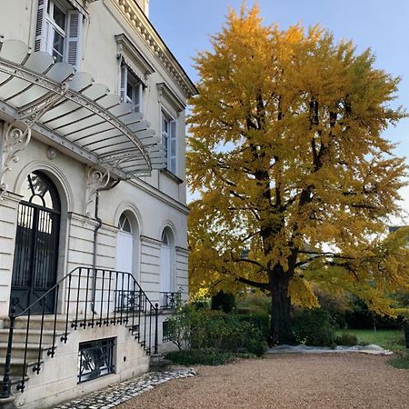 A L'Abri Du Ginkgo Lejlighed Tours Eksteriør billede