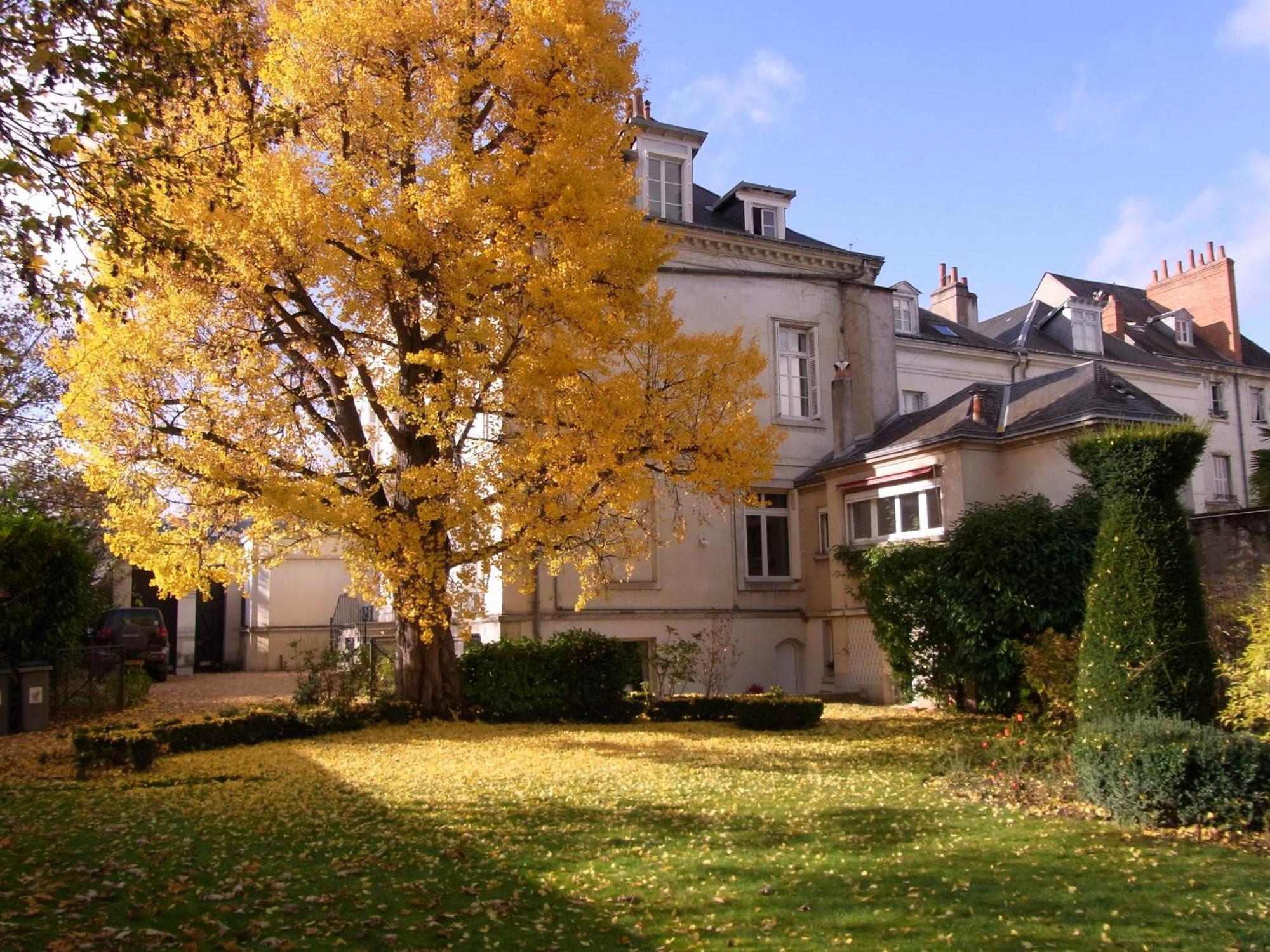A L'Abri Du Ginkgo Lejlighed Tours Eksteriør billede